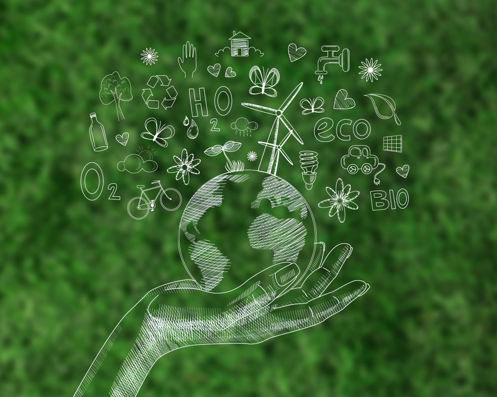 Role of Sustainability Software Management Systems